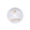 Ceiling Rose - Image 2