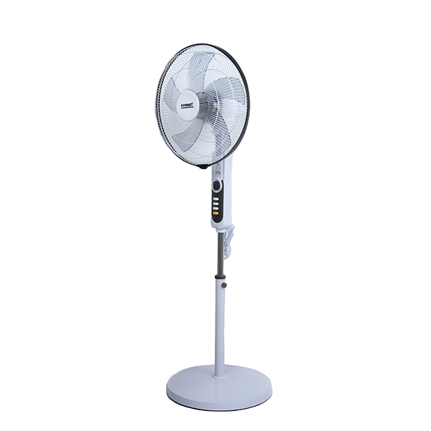 Rechargeable Fan