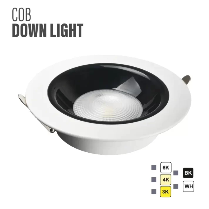 COB Down Light T01 3