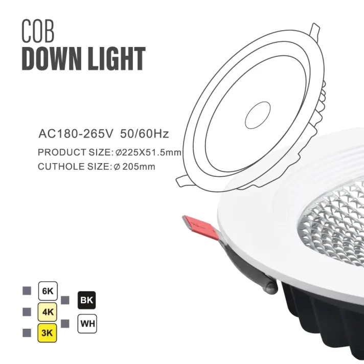 COB Down Light T05A 3