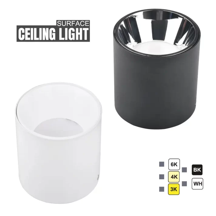 Surface Ceiling Light T09 2